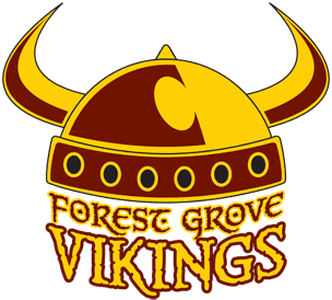 2017 Viking Vengeance 5K 10K Logo