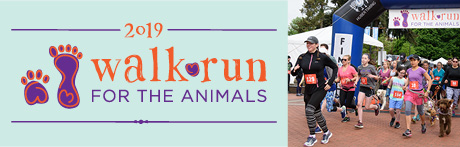 2019 Walk\Run for the Animals 5K Logo