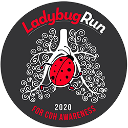 2020 Virtual Ladybug Run 5K 10K Logo