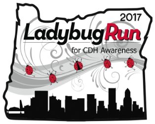 2017 Ladybug Run 5K 10K Logo