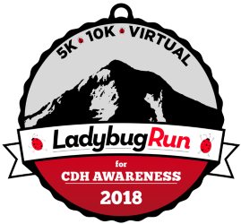 2018 Ladybug Run 5K 10K Logo