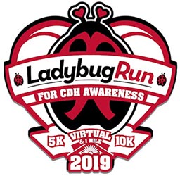 2019 Ladybug Run 5K 10K Logo