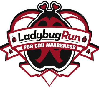 2023 Lady Bug Run Logo